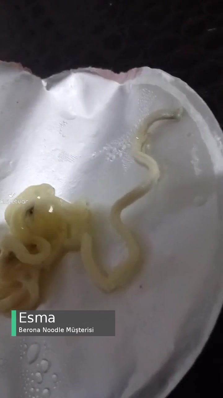 Berona Noodle Yerken Midem Bulandı! videonun kapak resmi
