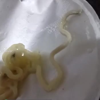 Berona Noodle Yerken Midem Bulandı!