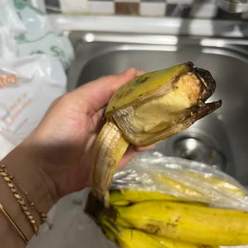 Trendyol GO'dan Gelen Bozuk Ve Ezik Ürünler