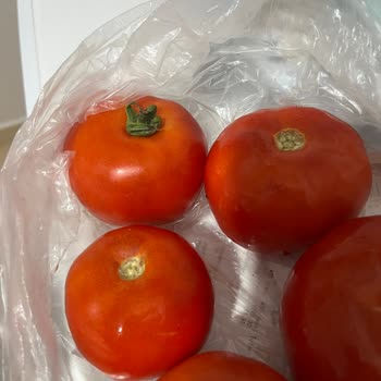 Trendyol GO'dan Gelen Bozuk Ve Ezik Ürünler