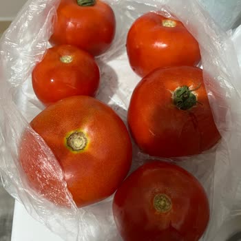 Trendyol GO'dan Gelen Bozuk Ve Ezik Ürünler