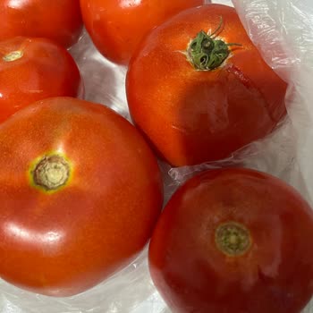 Trendyol GO'dan Gelen Bozuk Ve Ezik Ürünler