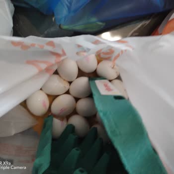 Eksik Ürün Ve Kırık Yumurta, Canlı Destek Yetersiz Kaldı