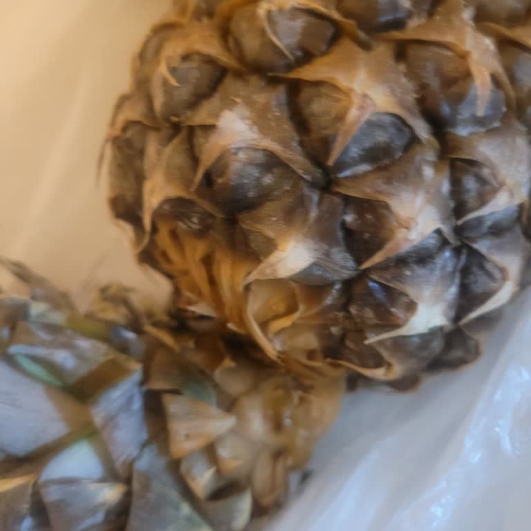 Aldığım Bozuk Ananas İçin A101 Mağazasında Destek Göremedim