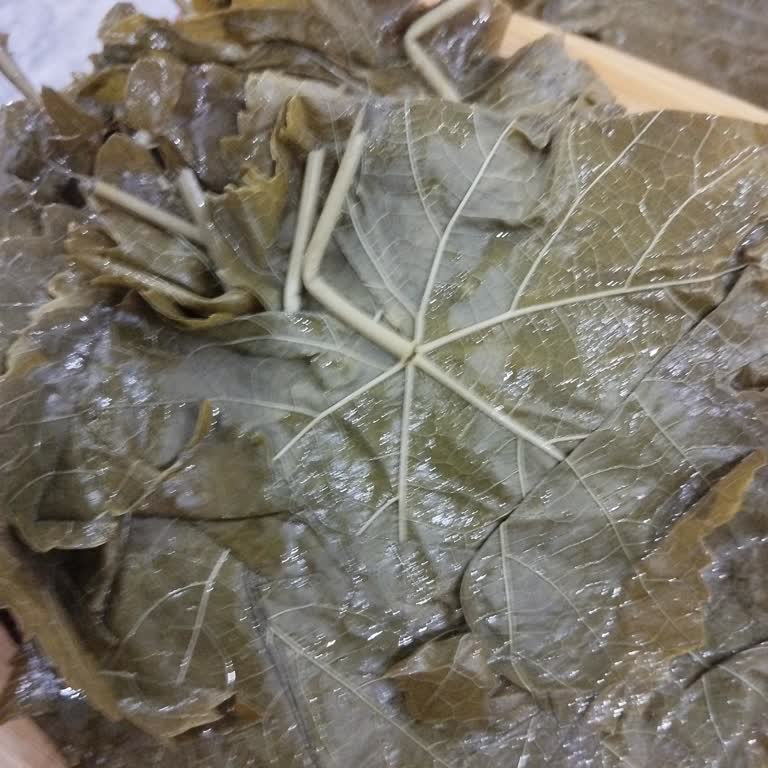 Beklentileri Karşılamayan Sert Ve Koyu Renkli Yapraklar