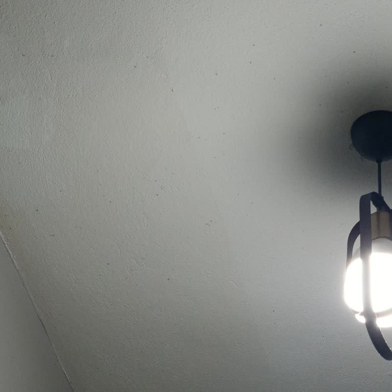 Mahalledeki Yeşillik Ve Çöpler Nedeniyle Yaşam Kalitemiz Düştü