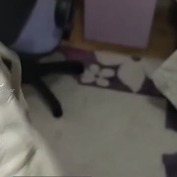 FLO Ayakkabı Garantiye Gönderdim Kullanıcı Hatası Diye Geri Gönderdiler!