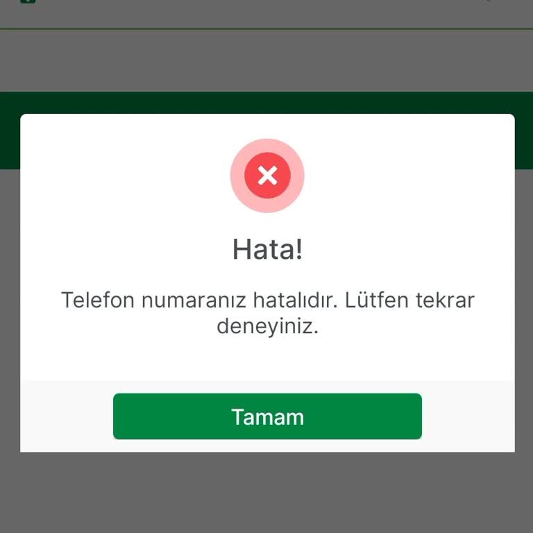 Doğru Bilgilerle Giriş Yapamama Ve Şifre Sıfırlama Sorunu