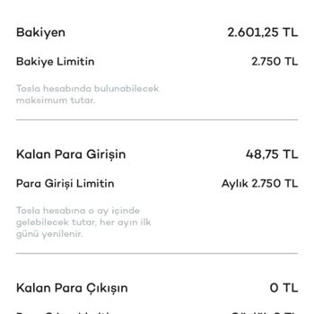 Tosla'da Para Yatırdım, Ne Alışveriş Ne Çekim Yapabiliyorum!