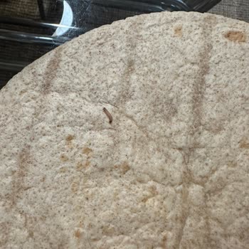 Satın Alınan Lavaş Ürününden Solucan Çıkması Ve Hijyen Endişesi