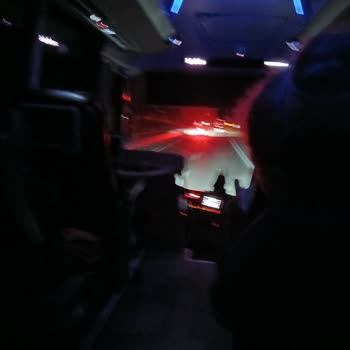 Kafessiz Köpekli Yolculukta Şoförün İhmali Yolculara Zor Anlar Yaşattı