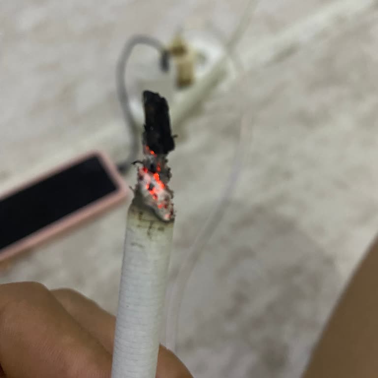 Parliament Midnight Blue'da Sürekli Odunlu Sigara Sorunu