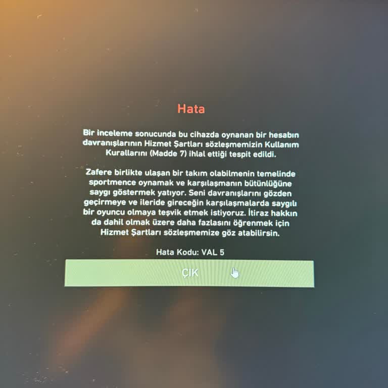 Hesaplarım Haksız Yere Banlandı, Oyun Oynayamıyorum