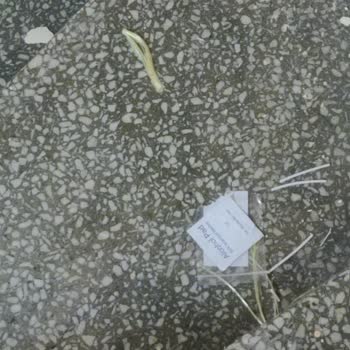 İnternet Kurulumu Sonrası Bina Temizliğine Dikkat Edilmiyor