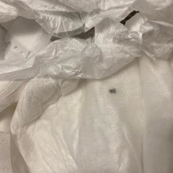 Bebek Bezinde Güvenlik Endişesi: Sert Cisimle Karşılaşma