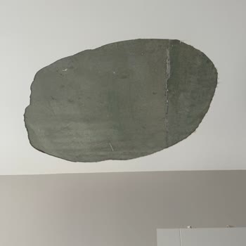 Yüksek Fiyat, Sıfır Hizmet: Evde Bitmeyen Sorunlar