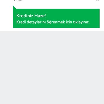 Onaylanan Kredi Son Aşamada Merkezi Müşteri Limit Aşımı Hatası Veriyor