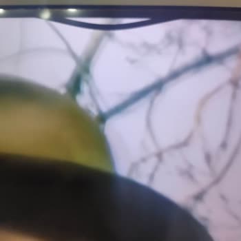 Garanti Süresinde Çözülmeyen Televizyon Panel Sorunu Ve İletişim Eksikliği