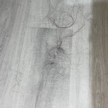 Fantom Jolie Düzleştirici Saçımı Yaktı, Hakkımı İstiyorum