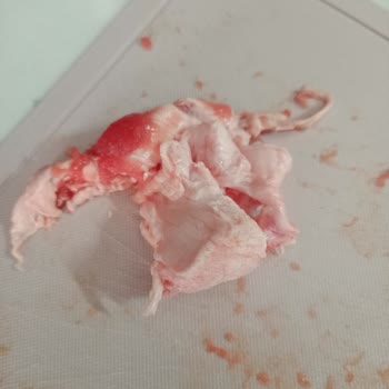 Sultan Et Ve Gıda Getir'den Aldığım Dana Kuşbaşı Ette Büyük Sinir Parçaları Çıktı