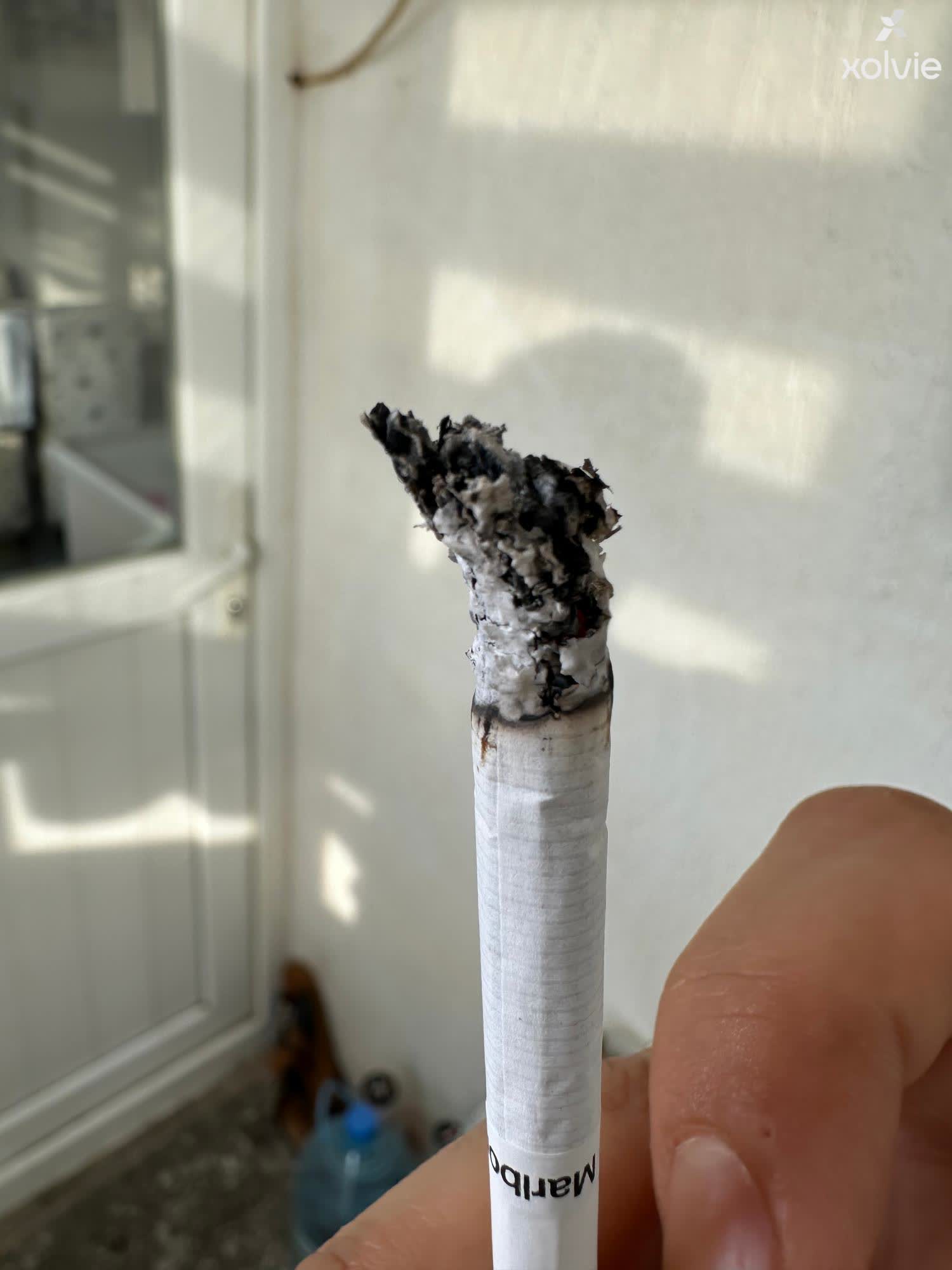 mix weed with pipe tobacco Pain Drives Dual Tobacco and Cannabis Use, Study Shows