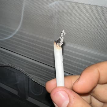 Marlboro Touch Blue Cigarettes Contain Pieces I Cannot Identify