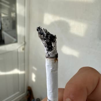 Marlboro Touch Blue Cigarettes Contain Pieces I Cannot Identify