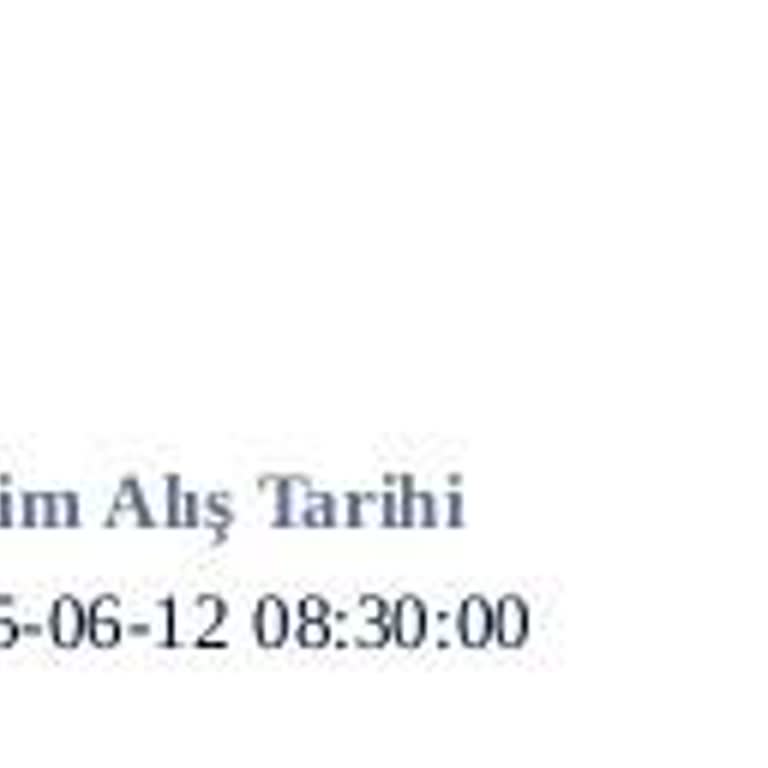 Havalimanında Araç Teslim Edilemedi, Para İadesi Ve Bilgilendirme Yapılmadı