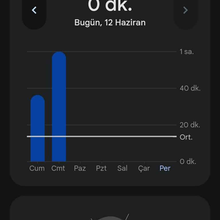 Family Link Süre Takibi 4 Gündür Çalışmıyor