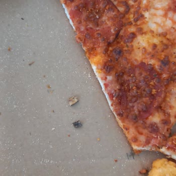 Dominos Pizzadan Çıkan Sert Cisim Dişimi Zedeledi