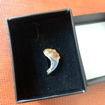 Siparişimde Cam Parçası Çıktı, Firma Duyarsız Kaldı