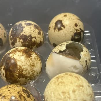 Hakmar Market'ten Alınan Bıldırcın Yumurtası Çürük Çıktı