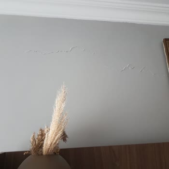 DASK Hasar Ödemesinin Yetersizliği Ve İlgisizlik Nedeniyle Mağduriyet