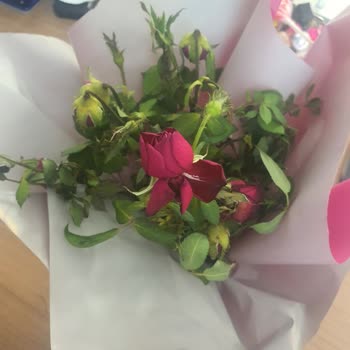 Siparişimde Gelen Çiçek Görseldekinden Tamamen Farklı Ve Solmuştu