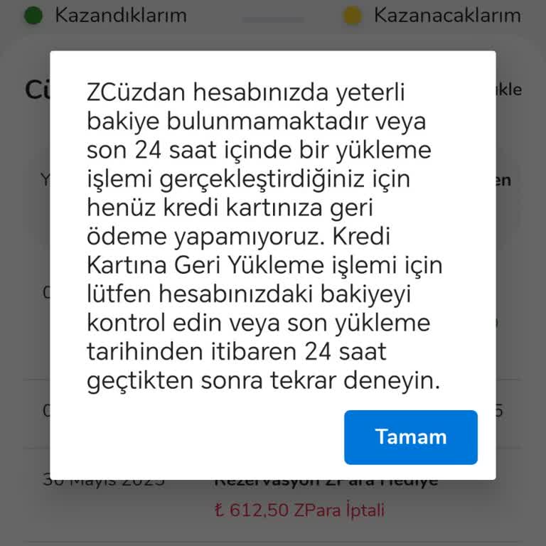Rezervasyon İçin Aktardığım Paranın İadesi Yapılmıyor, Destek Ekibi Cevap Vermiyor