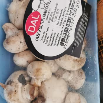 Getir Siparişimde Mazotlu Ürünler ve Yetersiz İade Süreci