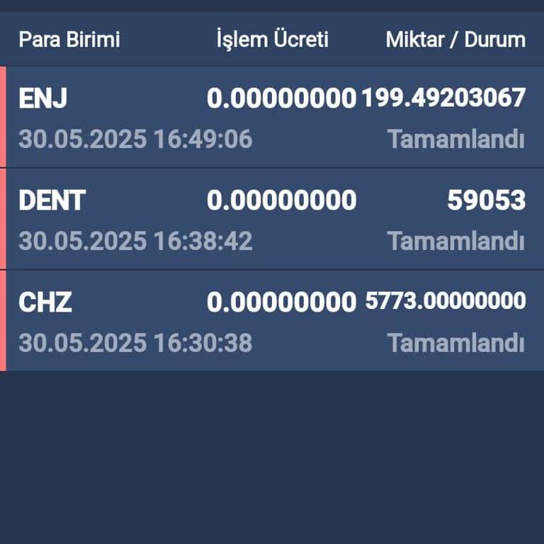 Bitexen'de Kayıp Koinler Ve Yetersiz Müşteri Desteği