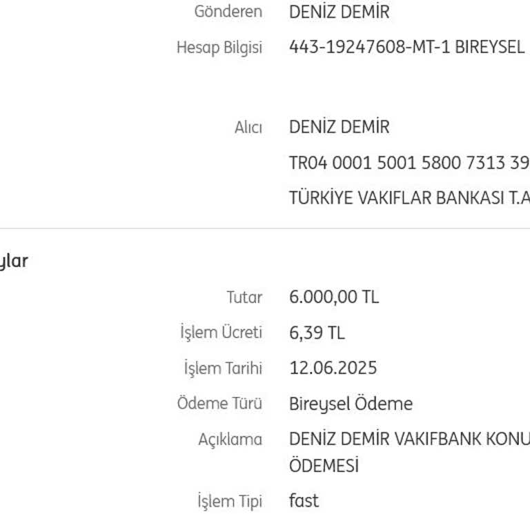 ING Bank'ta EFT Ve FAST Ücretleriyle Mağduriyet Yaşadım