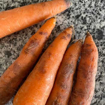 Şok Marketler Ürünler Çöp Gibi Geldi