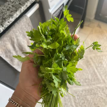 Şok Marketler Ürünler Çöp Gibi Geldi