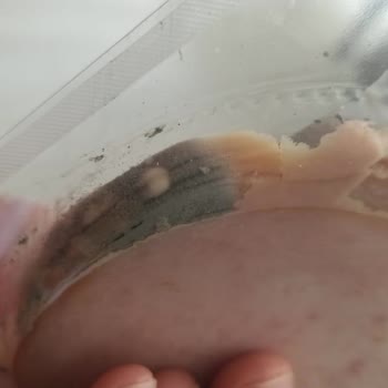 Küflü Hindi Füme Ve Cevapsız Namet Müşteri Hizmeti