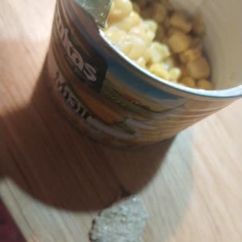 Mısır Konservesinden Tahta Parçası Çıktı, Telafi Bekliyorum