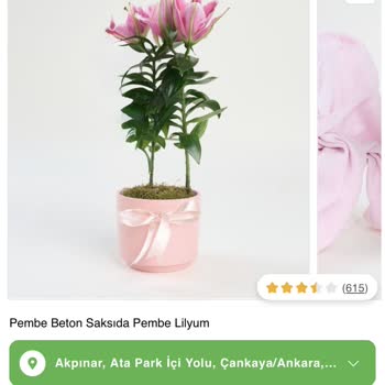 Gönderilen Lilyum Çiçeği İki Günde Soldu, Paramız Çöp Oldu