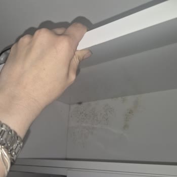 Su Sızıntısı Sonrası Sigorta İlgisizliği Ve Çözüm Eksikliği