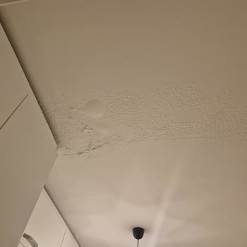 Su Sızıntısı Sonrası Sigorta İlgisizliği Ve Çözüm Eksikliği