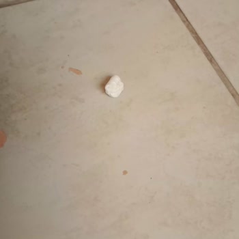Balkonuma Sürekli Çöp Atılması Ve Güvenliğimin Tehlikeye Atılması