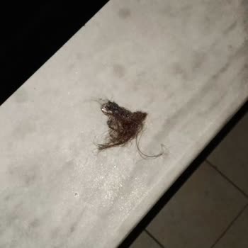 Balkonuma Sürekli Çöp Atılması Ve Güvenliğimin Tehlikeye Atılması