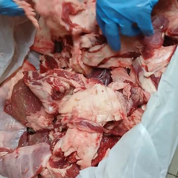 Kurban Bayramı Hissem Yağ Çıktı Et Yerine Paramı İade Almak İstiyorum