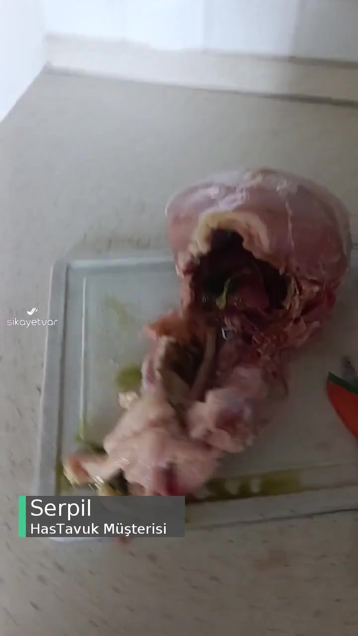 Hastavuk İçi Temizlenmemiş Zehirli videonun kapak resmi