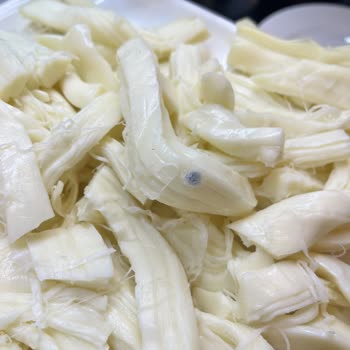 Hayal Kırıklığı Ve Güvensizlik: Tatilimiz Kabusa Döndü